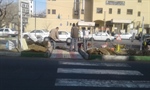 اجرایی شدن همسطح و ایمن سازی محل عبور عابرین پیاده در سطح شهر ارومیه